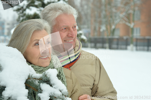 Image of senior couple at winter outdoors