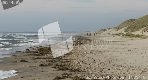 Image of Coastline