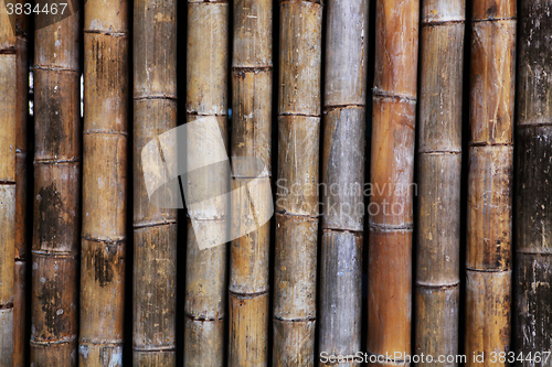 Image of old bamboo texture