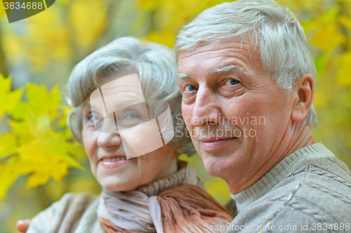 Image of Happy senior couple 