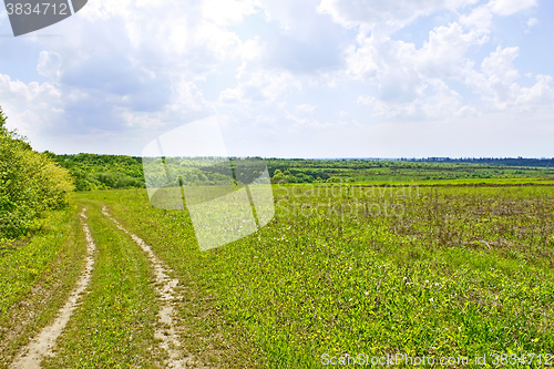 Image of Rural summer landscape with soil road