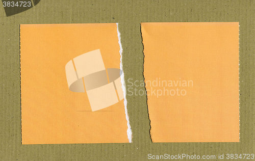 Image of Yellow Torn paper pieces