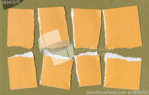 Image of Yellow Torn paper pieces