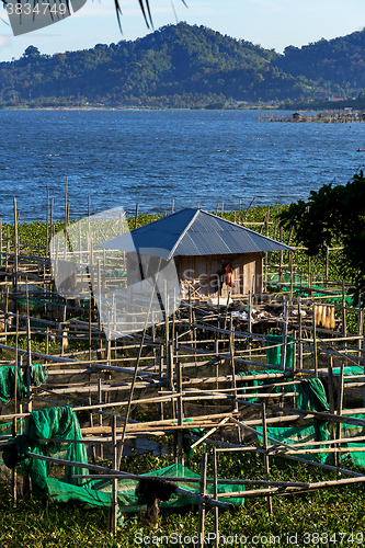 Image of Fish farm at Lake Tondano