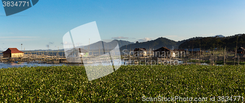 Image of Fish farm at Lake Tondano