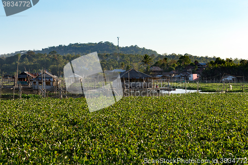 Image of Fish farm at Lake Tondano