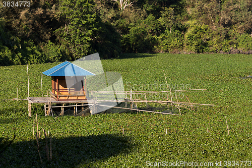 Image of Fish farm at Lake Tondano