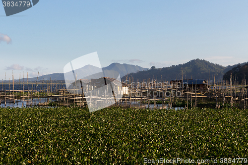 Image of Fish farm at Lake Tondano