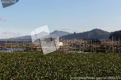 Image of Fish farm at Lake Tondano