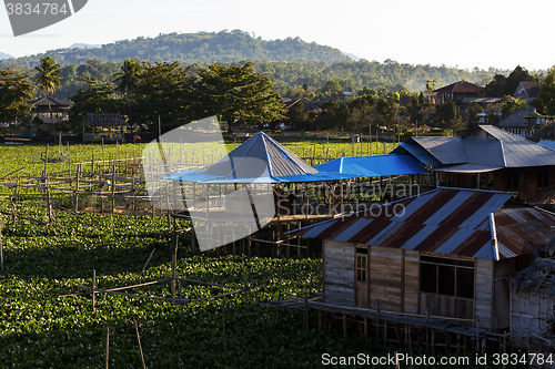 Image of Fish farm at Lake Tondano