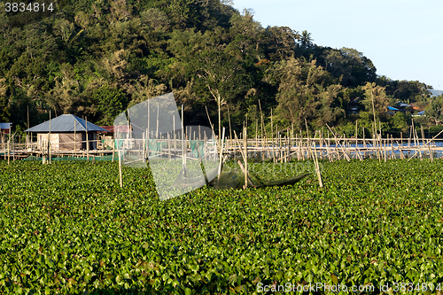 Image of Fish farm at Lake Tondano