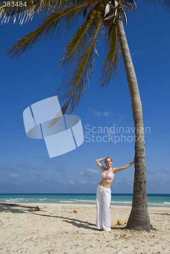 Image of beach