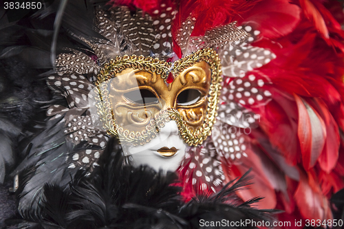 Image of Venetian Mask