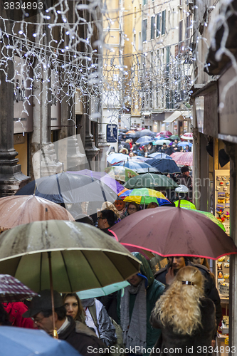 Image of Crowd of Umbrellas in Venice