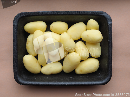 Image of Potato vegetables in a tub