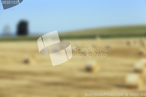 Image of agriculture, not in focus 