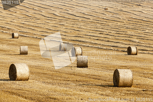 Image of haystacks in a field of straw  