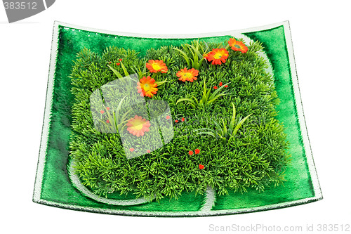 Image of Grass in plate