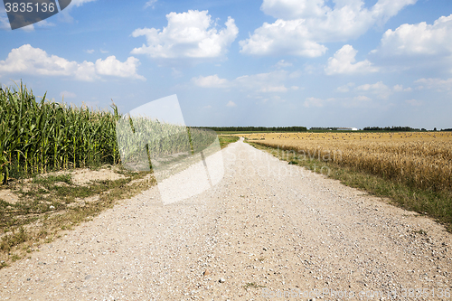 Image of road in a field  