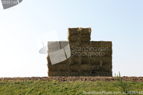 Image of Stack of straw, wheat  