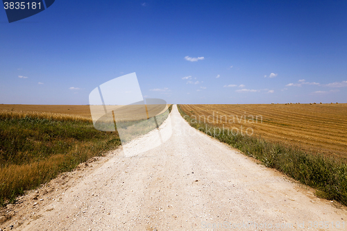 Image of Rural Dirt road  