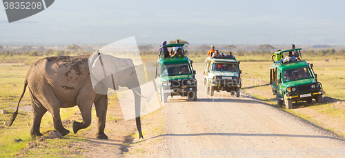 Image of Elephantt crossing dirt roadi in Amboseli, Kenya.