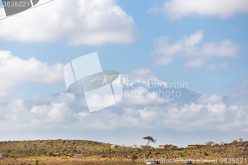 Image of Kilimanjaro overlooking african savannah.