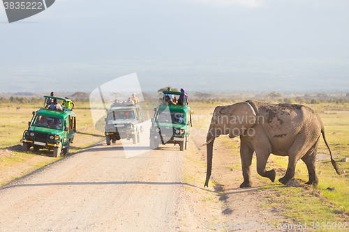 Image of Elephantt crossing dirt roadi in Amboseli, Kenya.