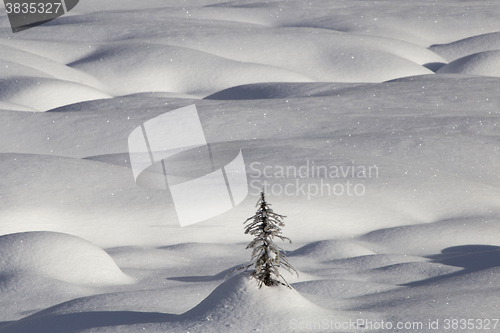 Image of Mountain Snow Moguls