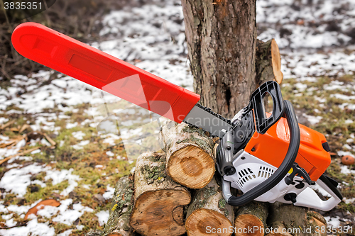 Image of Chainsaw and cut tree branches.