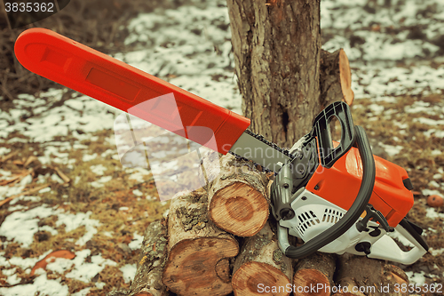 Image of Chainsaw and cut tree branches.