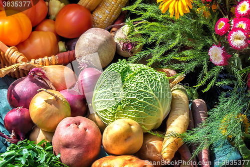 Image of Vegetable harvest is sold at the fair.