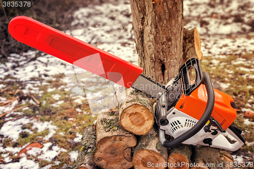 Image of Chainsaw and cut tree branches.