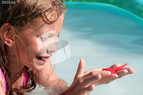 Image of Starfish