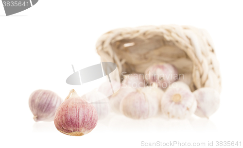 Image of Raw garlic (small) isolated