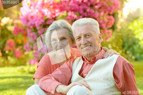 Image of Senior couple  in summer park