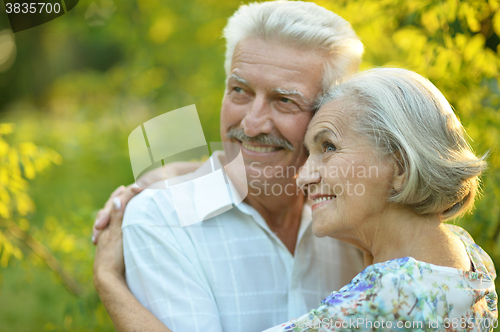 Image of mature couple   in summer park
