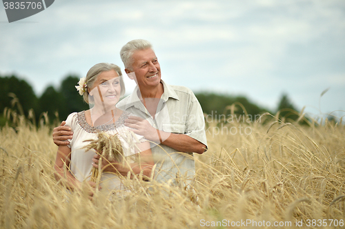 Image of happy senior couple in summer