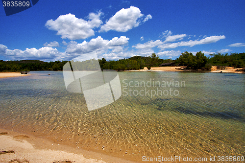 Image of  relax and bush in madagascar coastline nosy iranja