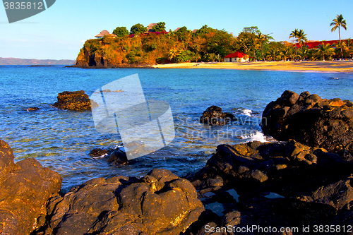 Image of andilana beach seaweed in indian ocean madagascar mountain   san