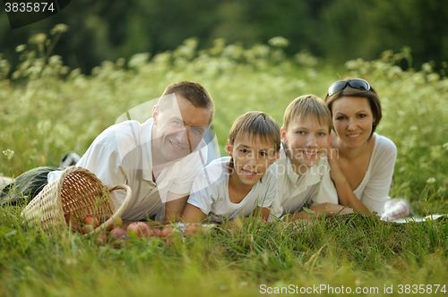 Image of Family having picnic 