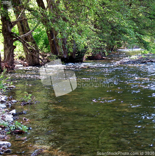 Image of River wide. Cyprus