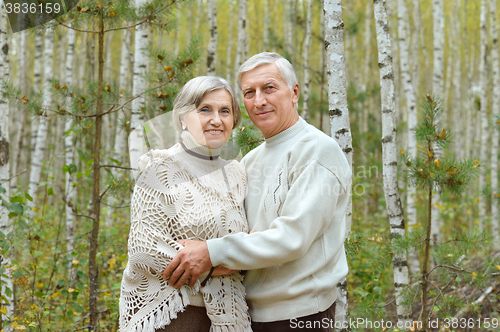 Image of  Happy senior couple