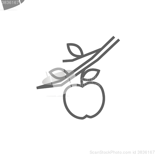 Image of Apple harvest line icon.