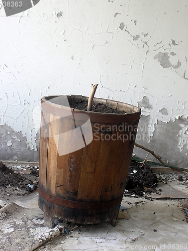 Image of bow-pot in Pripyat