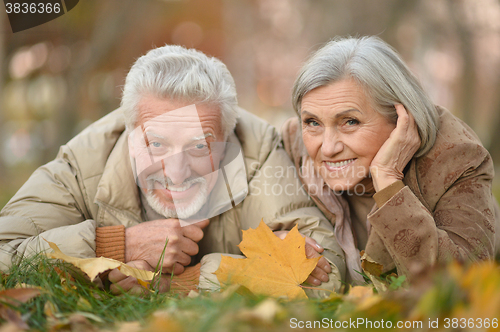 Image of Senior couple in autumn park