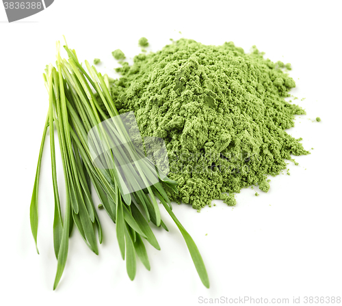 Image of heap of green powder