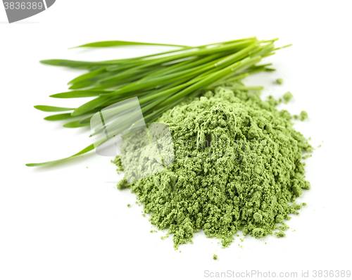 Image of heap of green powder