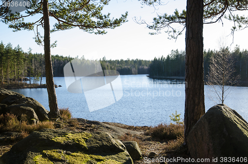 Image of Rocks and tree trunks by lakeside