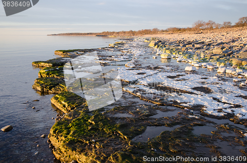 Image of Colorful flat rock coast